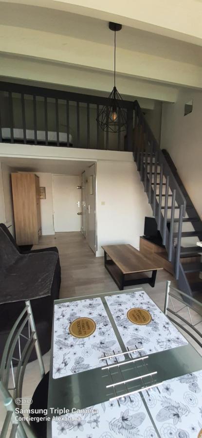 Vue Magique Sur La Marina - Appart En Duplex, Les Pieds Dans L'Eau Saint-Cyprien  Exterior foto