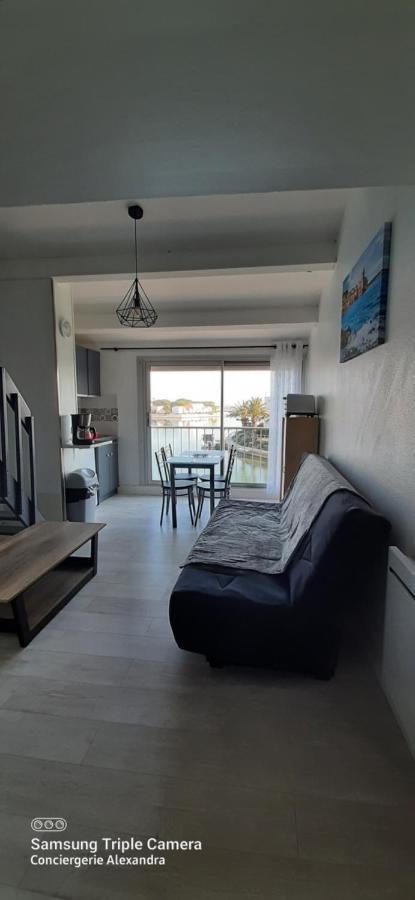 Vue Magique Sur La Marina - Appart En Duplex, Les Pieds Dans L'Eau Saint-Cyprien  Exterior foto