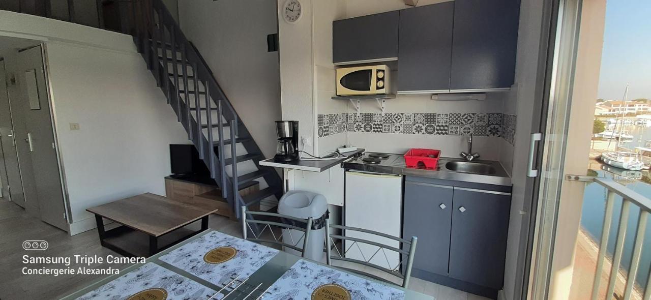 Vue Magique Sur La Marina - Appart En Duplex, Les Pieds Dans L'Eau Saint-Cyprien  Exterior foto